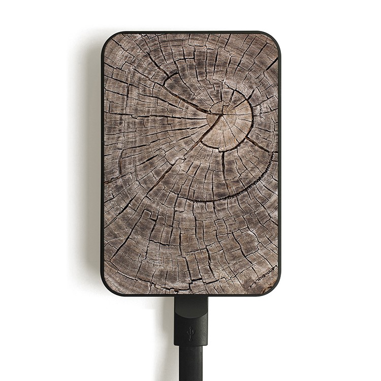 Cartoon Series 10000mAh Portable Travel Power Bank - Wood Skin-8