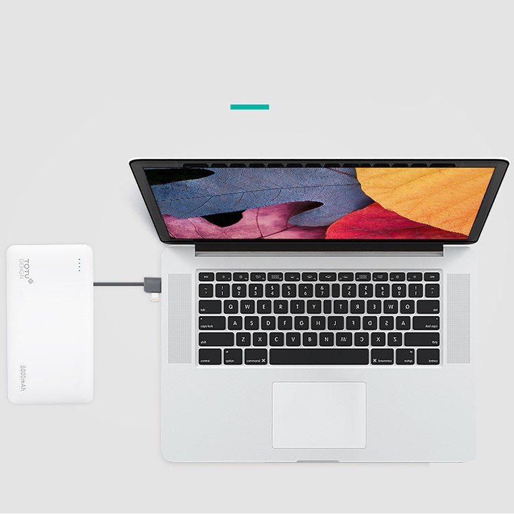 TOTU 6000mAh Dual USB Power Bank Built-in Micro USB + USB Cable for Samsung Huawei etc - White-12