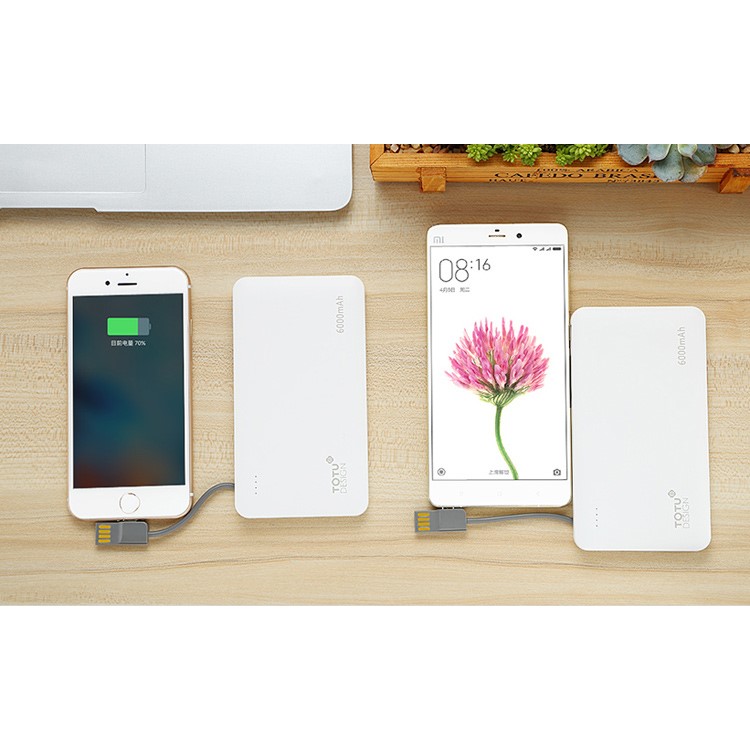 TOTU 6000mAh Dual USB Power Bank Built-in Micro USB + USB Cable for Samsung Huawei etc - White-18