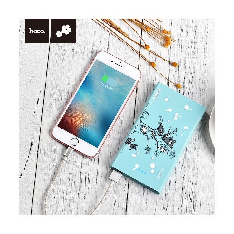 HOCO 13000mAh Cute Mouse Mobile Power Bank Dual USB (JP.11-13000) - Joyous Starry Sky-1