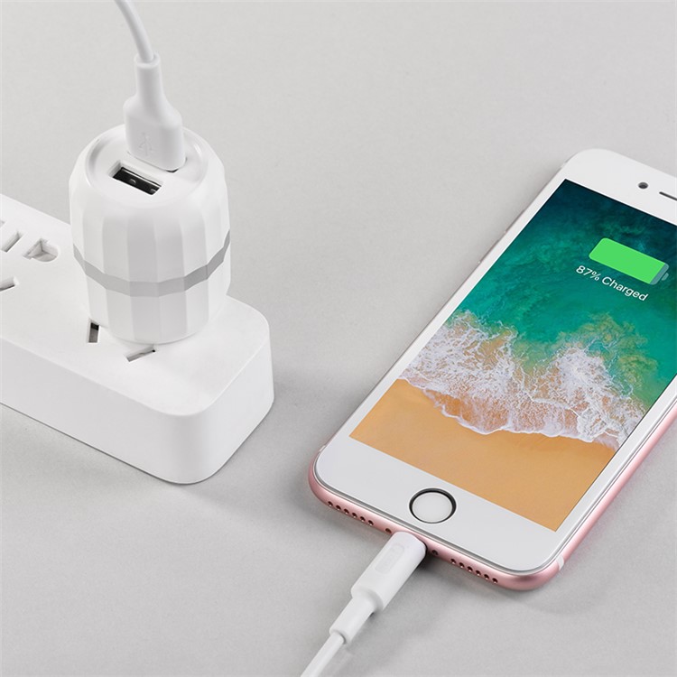 HOCO C41 Wisdom Dual Port USB 2.4A Smart Travel Wall Charger - US Plug-10
