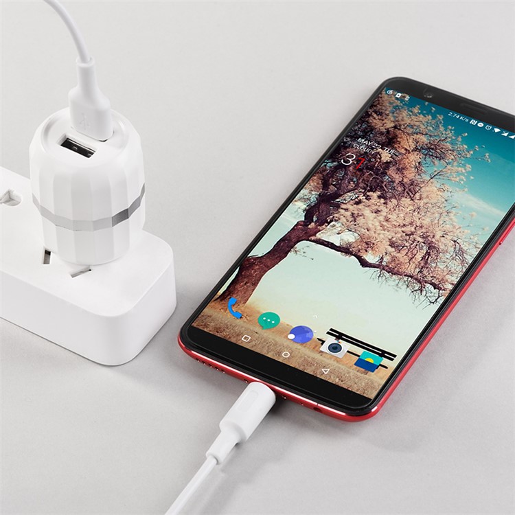 HOCO C41 Wisdom Dual Port USB 2.4A Smart Travel Wall Charger - US Plug-9