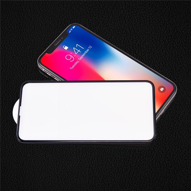 PDGD 3D Arc Edges Tempered Glass Full Screen Coverage Protector Film 0.3mm for iPhone X - Black-3