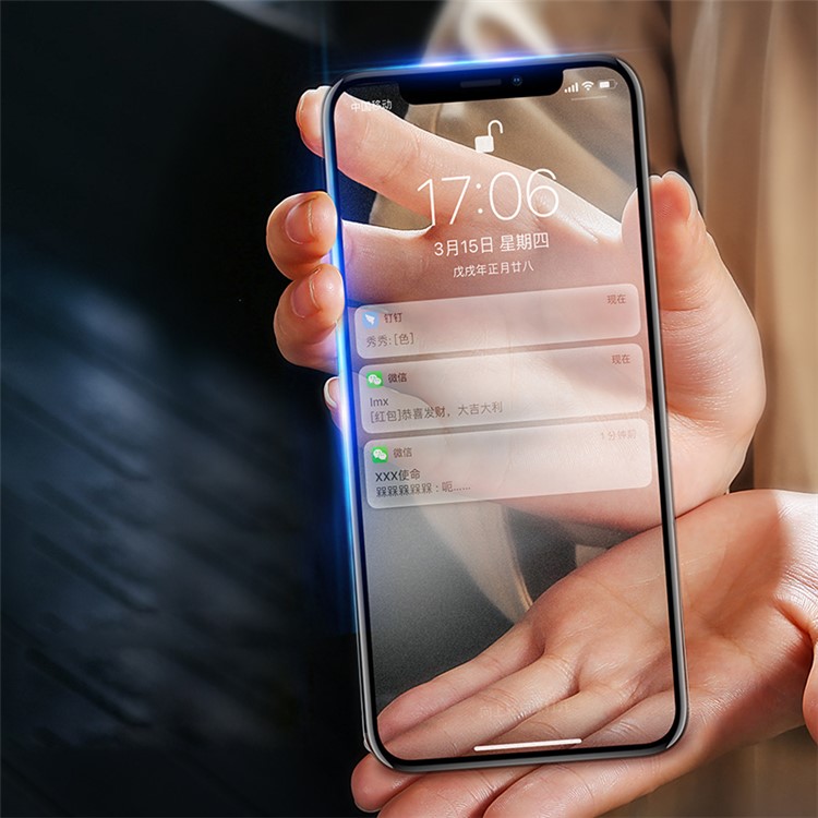 BENKS VPRO Fosco Superfície Tela De Vidro Temperado Filme Para Iphone X (5,8 Polegadas)-1