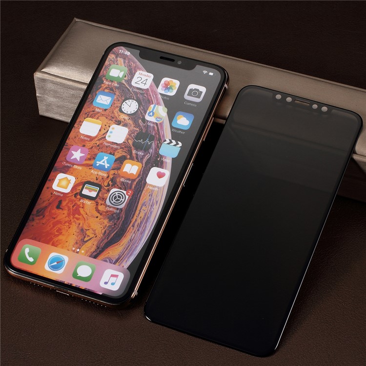 PDGD 0.3mm Privacy Protection 3D Curved Tempered Glass Full Screen Shield for iPhone (2019) 6.5" / XS Max 6.5 inch-2