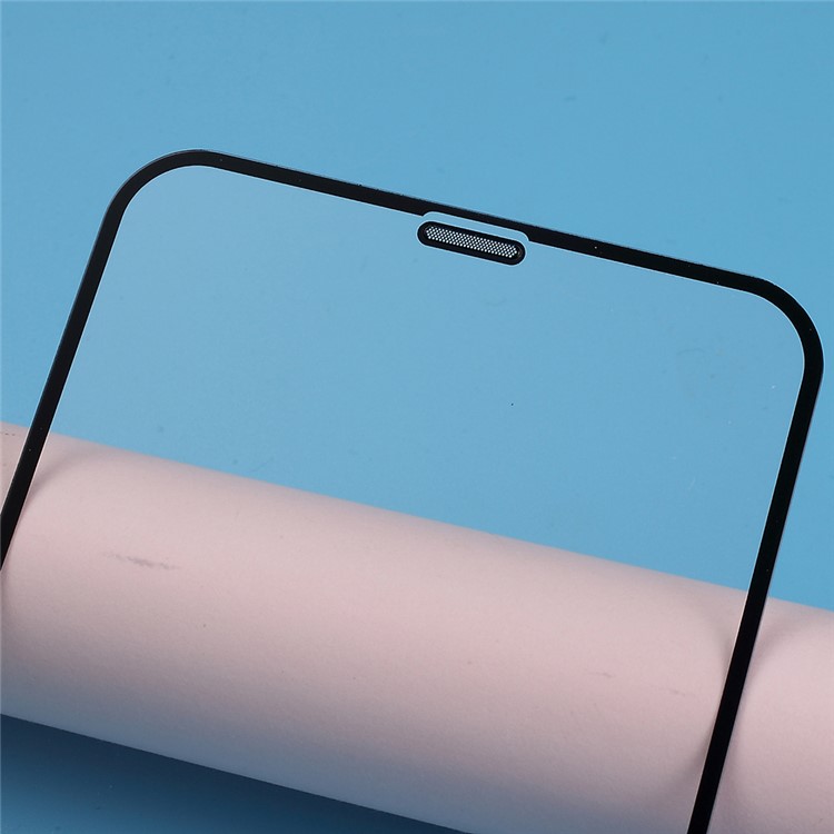 Silk Printing Tempered Glass Protector Film with Anti-dust Mesh for iPhone 11 Pro Max 6.5 inch/XS Max-4