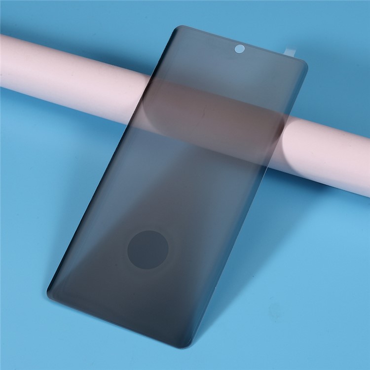 Anti-peep Tempered Glass Screen Protector Film for Samsung Galaxy Note 10/Note 10 5G - Grey-1