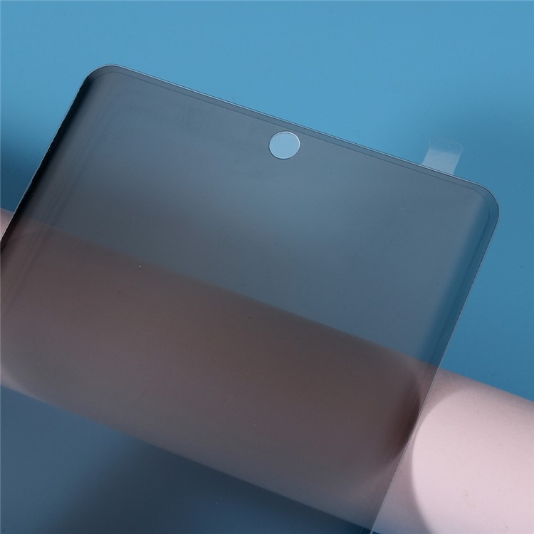 Anti-peep Tempered Glass Screen Protector Film for Samsung Galaxy Note 10/Note 10 5G - Grey-3