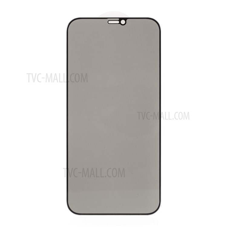 Anti-spy Full Screen Silk Printing Tempered Glass Screen Guard Film (Side Glue) for iPhone 12 mini-1