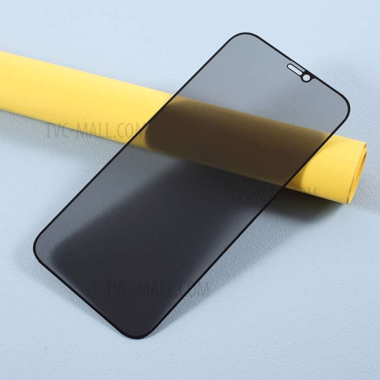 Anti-spy Full Screen Silk Printing Tempered Glass Screen Guard Film (Side Glue) for iPhone 12 mini-3