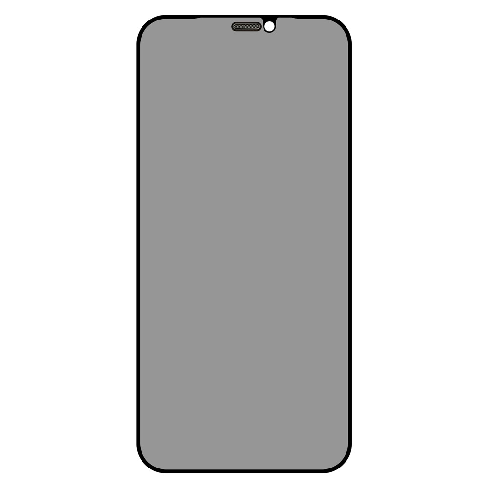 TOTU AB-057 Silk Printing Full Screen Coverage Full Glue Anti-Spy Tempered Glass Protective Film for iPhone 12 Pro Max 6.7 inch-2