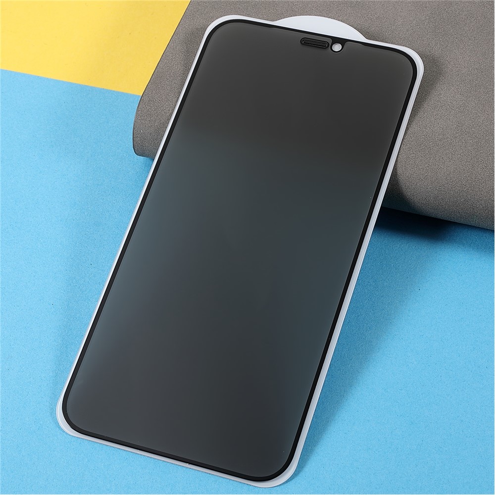TOTU AB-057 Silk Printing Full Screen Coverage Full Glue Anti-Spy Tempered Glass Protective Film for iPhone 12 Pro Max 6.7 inch-3