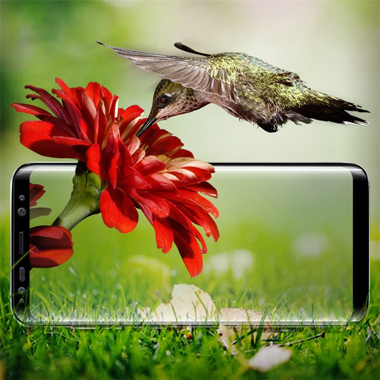 X-LEVEL Full Coverage 3D Curved Tempered Glass Screen Guard Film for Samsung Galaxy S8 Plus G955 - Black-4