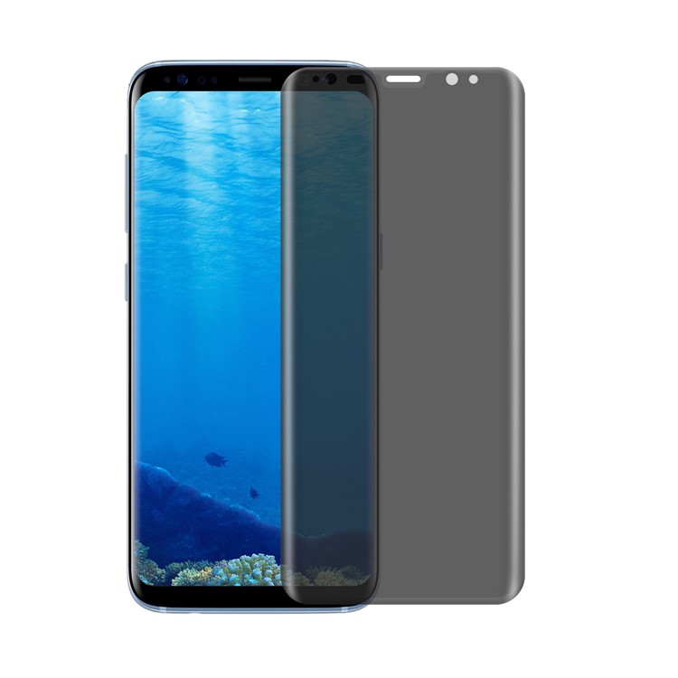 ANGIBABE for Samsung Galaxy S8 G950 Anti-spy 0.3mm Complete Tempered Glass Screen Film - Transparent Grey-1