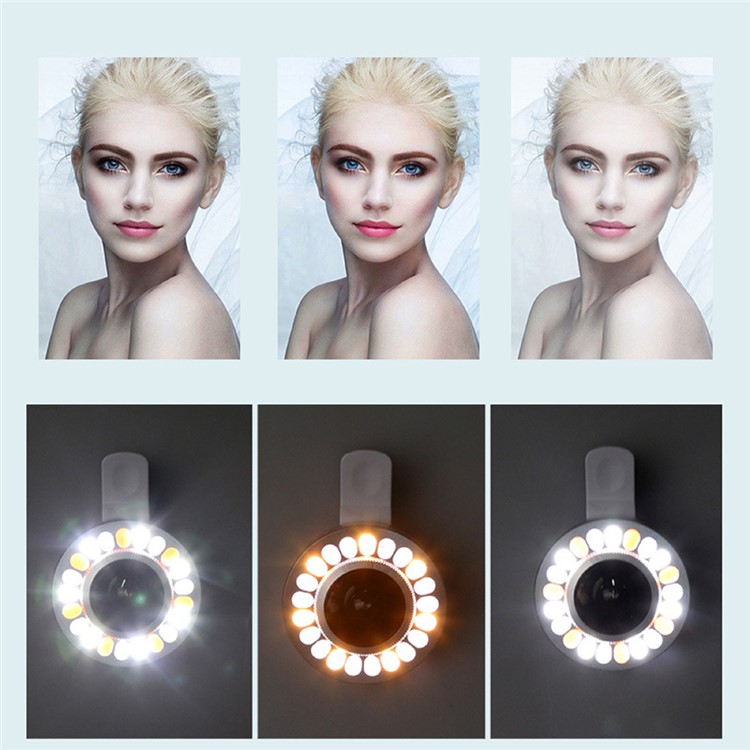 3 Light Colors Adjustable 21 LEDs Rotary LED Fill Light + 0.4x Wide Angle Lens for iPhone Samsung - Silver Color-31