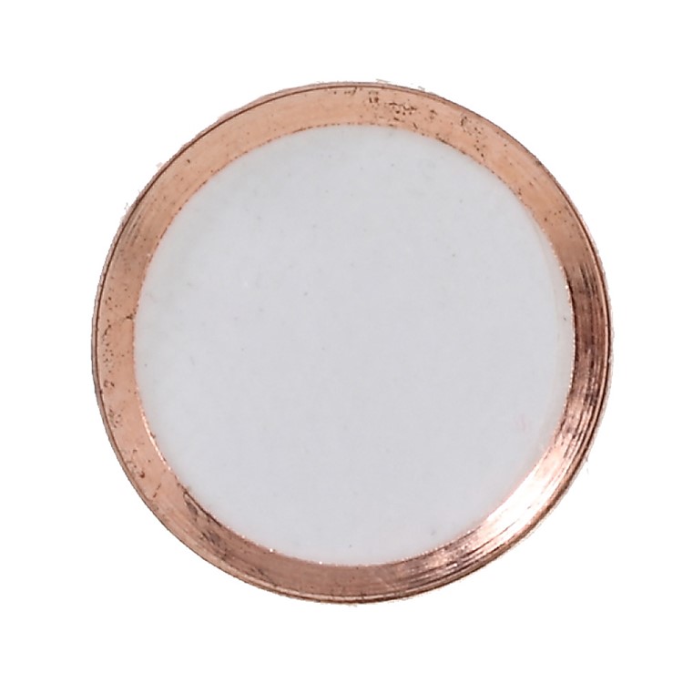 Touch ID Home Button Sticker Fingerprint Identification for iPhone 6s Plus / 6s / 6 Plus / 5s - White / Rose Gold Color-3