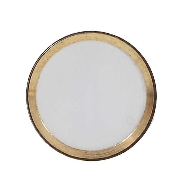Touch ID Home Button Sticker Fingerprint Identification for iPhone 6s Plus / 6s / 6 Plus / 5s - White / Champagne Gold Color-3