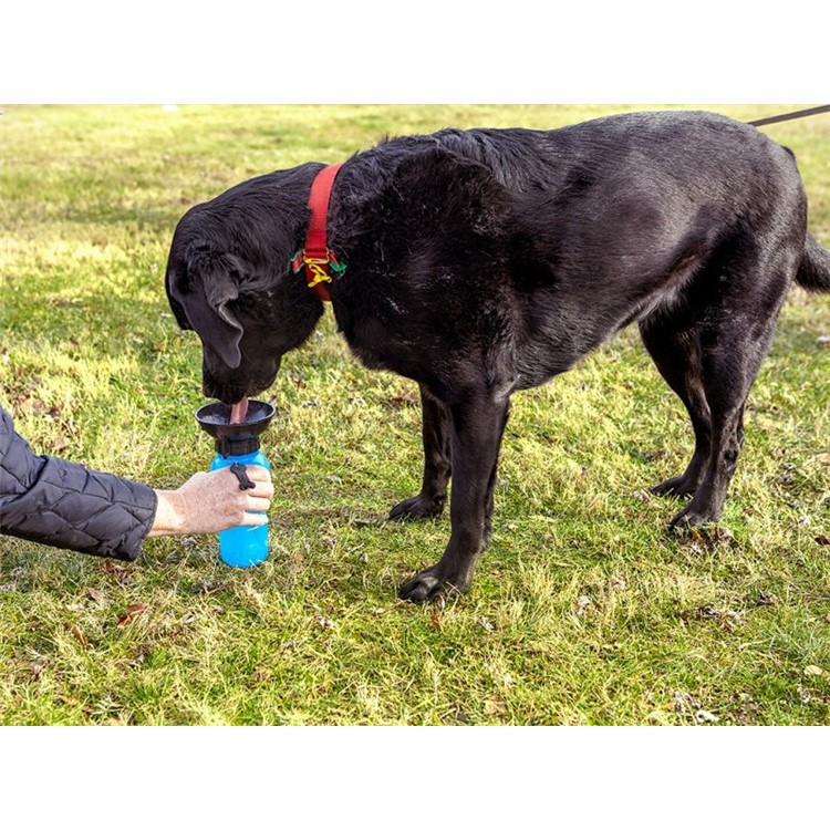Portable Pet Dog Cat Drink Squeeze Feeding Water Bottle Outdoor Travel - Blue-6