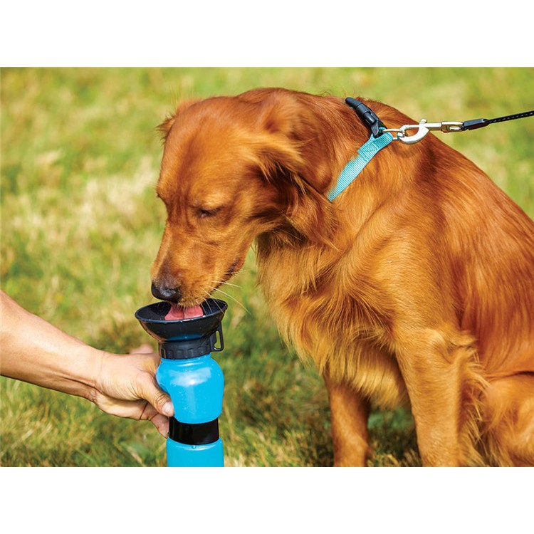 Portable Pet Dog Cat Drink Squeeze Feeding Water Bottle Outdoor Travel - Blue-7