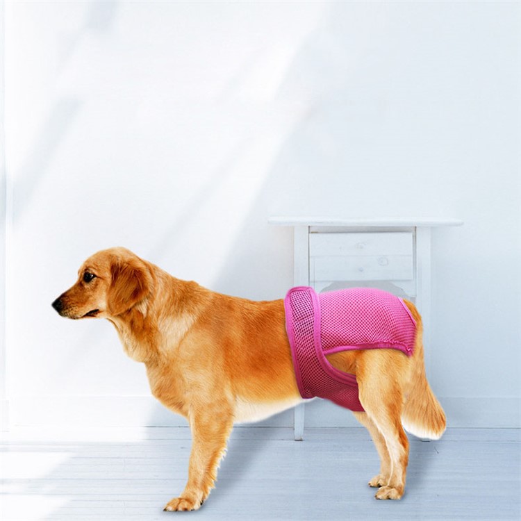 Pet Dog Diaper Sanitary Physical Pants with Velcro Closure - Rose / Size: S-2