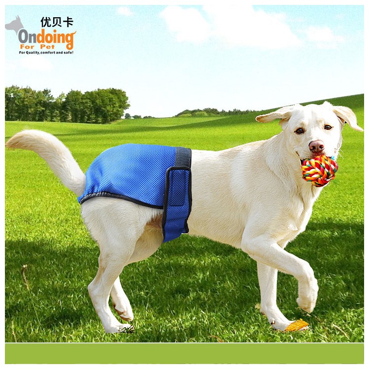 Washable Pet Dog Diaper Sanitary Physical Pants with Velcro Closure - Blue / Size: S-4