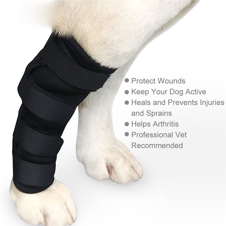 Best Discount of Premium Dog Front Leg Braces Canine Wrist Sleeves with