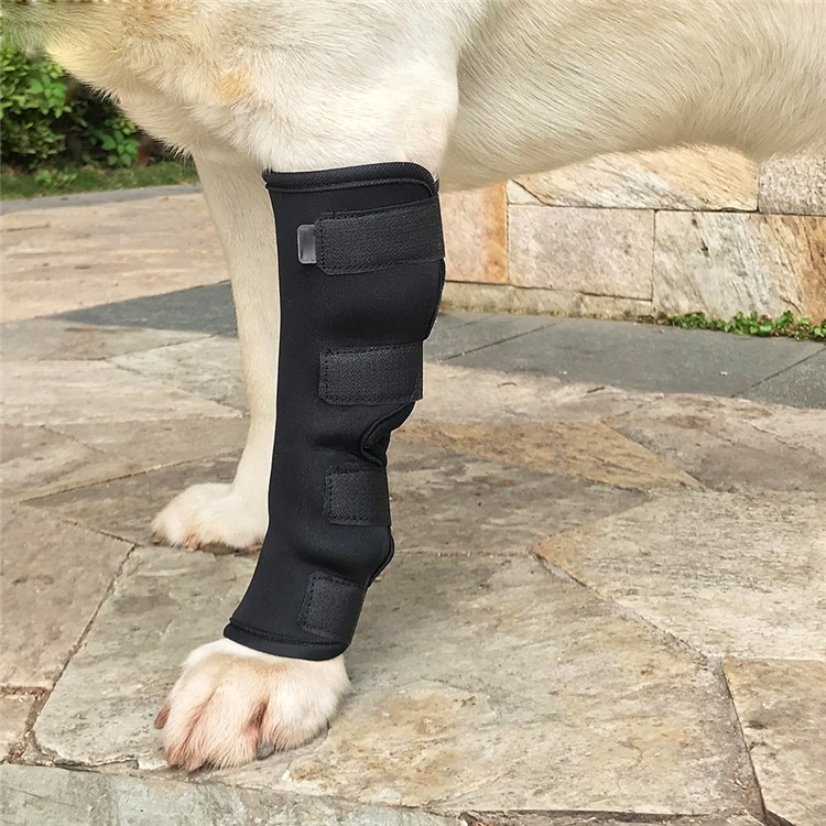 Best Discount of Premium Dog Front Leg Braces Canine Wrist Sleeves with