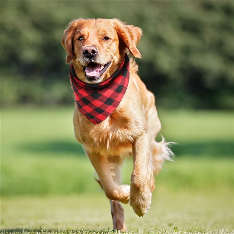 LEMONDA Plaid Pattern Dog Bandana Washable Reversible Triangle Bib Scarf, Size: 42 x 42 x 59.5cm - Color 22-3