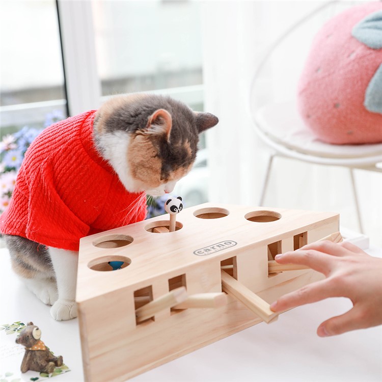 Animal De Estimação Engraçado Atingiu O Brinquedo De Gato Hamster Cinco Furos Brinquedo Interativo De Madeira Sólida-3