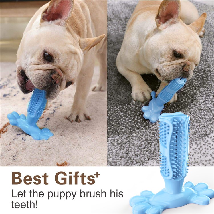 Cão Escova De Dentes Para Animais Mastigar Brinquedo Vara Dentes Limpador Massager - Azul Escuro-2