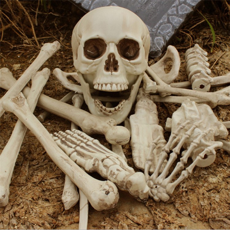 28Pcs/Set Skeleton Bones Horror Decoration for Goblin House Bar Storm Room Halloween Party-1