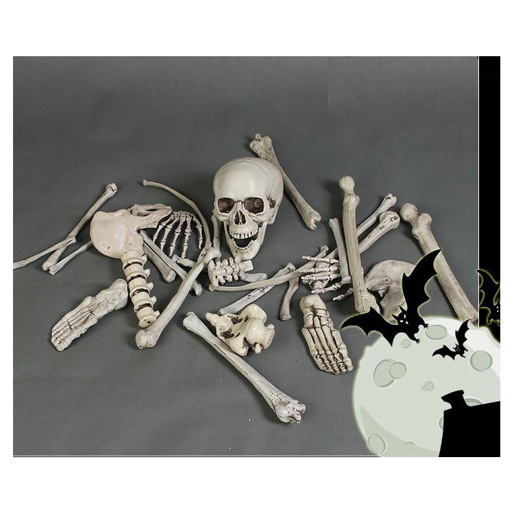 28Pcs/Set Skeleton Bones Horror Decoration for Goblin House Bar Storm Room Halloween Party-11