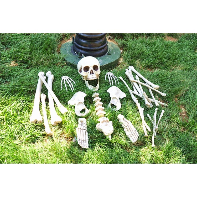 28Pcs/Set Skeleton Bones Horror Decoration for Goblin House Bar Storm Room Halloween Party-13