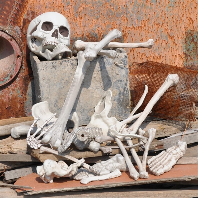 28Pcs/Set Skeleton Bones Horror Decoration for Goblin House Bar Storm Room Halloween Party-3