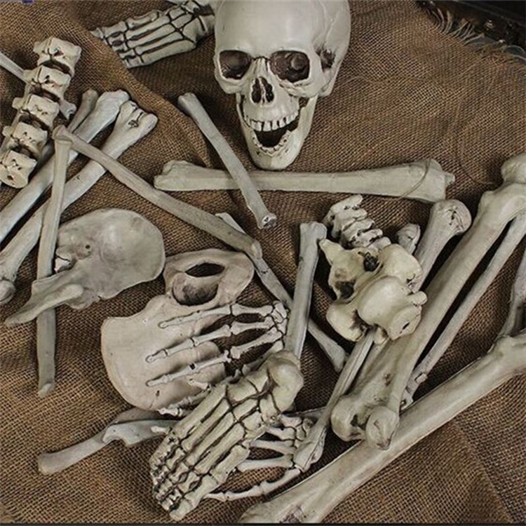 28Pcs/Set Skeleton Bones Horror Decoration for Goblin House Bar Storm Room Halloween Party-4