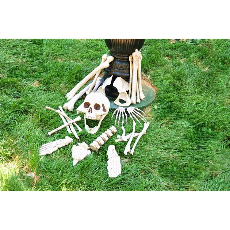 28Pcs/Set Skeleton Bones Horror Decoration for Goblin House Bar Storm Room Halloween Party-5