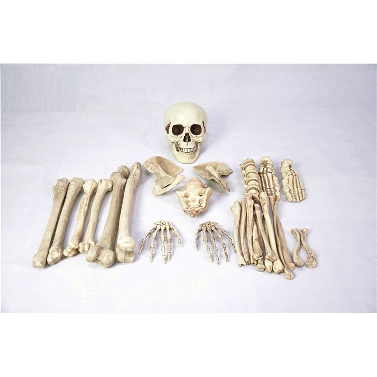 28Pcs/Set Skeleton Bones Horror Decoration for Goblin House Bar Storm Room Halloween Party-8