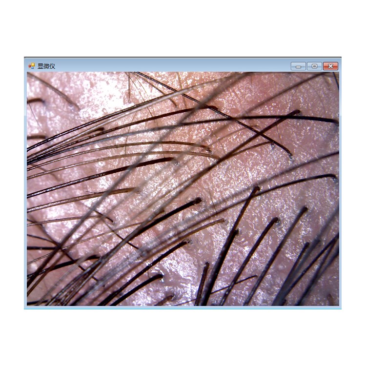 S10 50-1000X 2MP USB 8-LED Light Digital Microscópio Endoscope Camera Magnifier-11