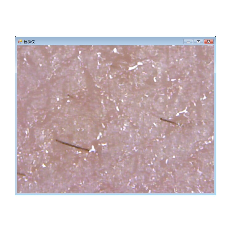 S10 50-1000X 2MP USB 8-LED Light Digital Microscópio Endoscope Camera Magnifier-16
