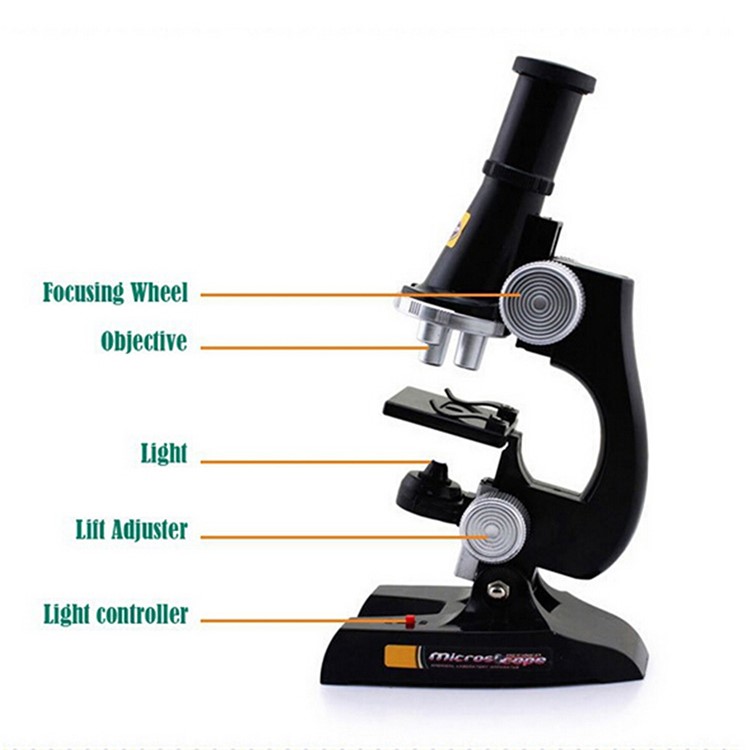 10X/20X/45X Biological Science Microscope for Children Early Studying Education-2