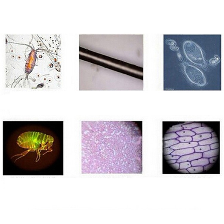 10X/20X/45X Biological Science Microscope for Children Early Studying Education-8