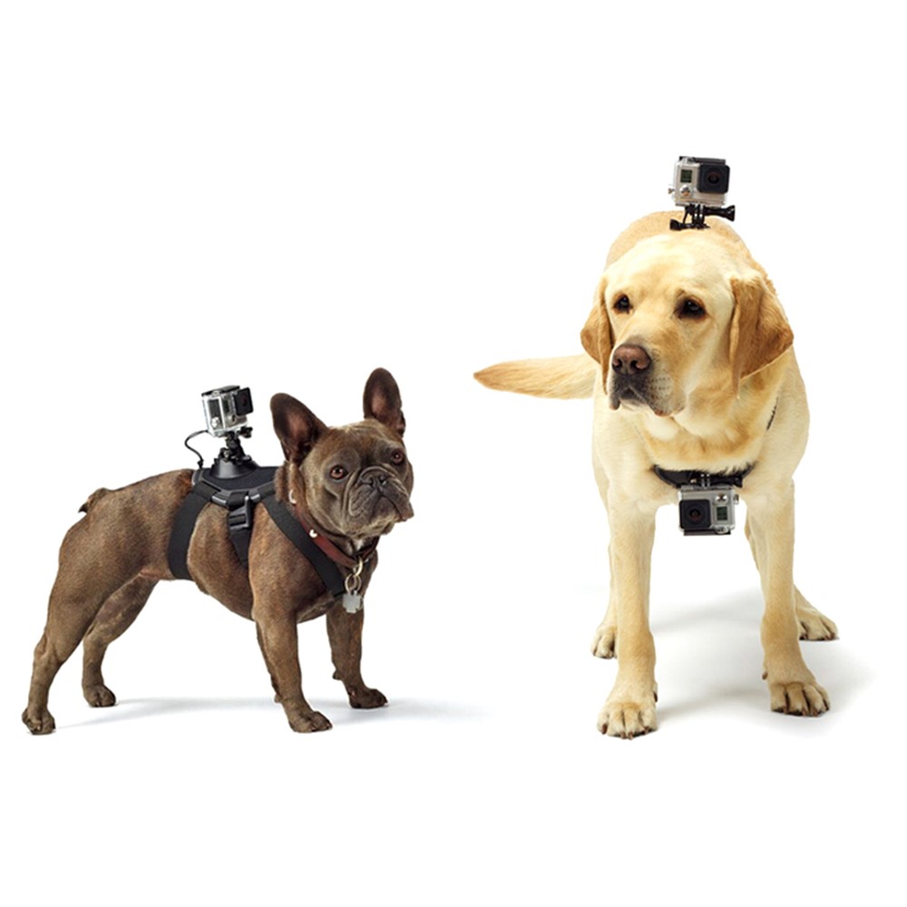 PULUZ PU156 Hound Dog Fetch Harness Adjustable Chest Strap Mount for GoPro HERO Cameras - Black-10