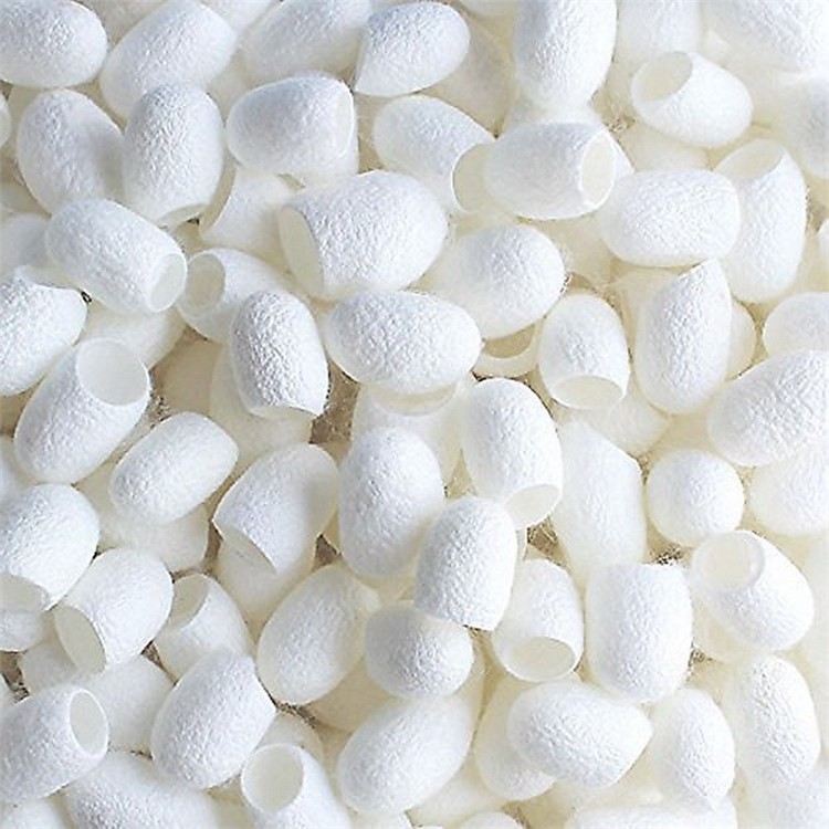 100Pcs/Set Natural Silkworm Cocoons Scrub Balls Facial Beauty Tool-5