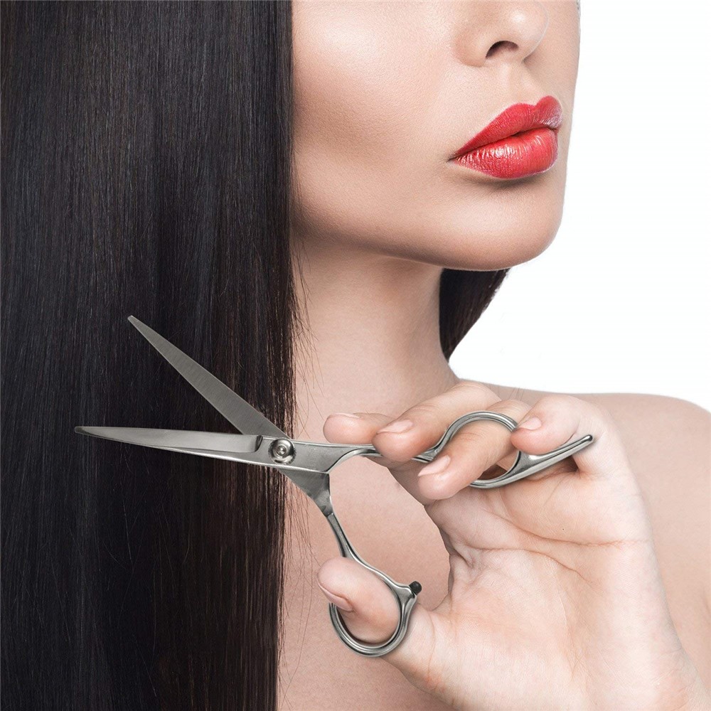 Pack of 6 Inch Hair Cutting Scissors and Barber Thinning Shears-12