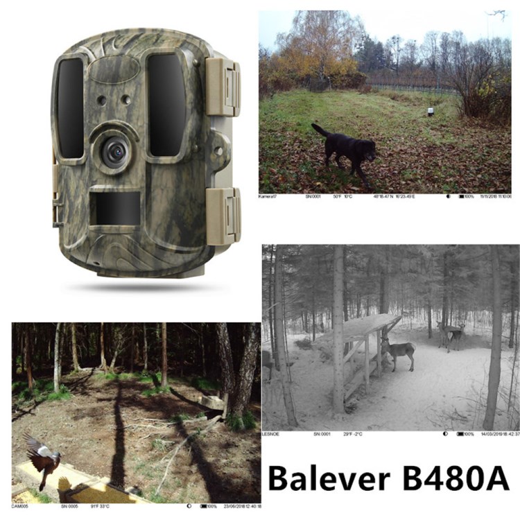 BL480A Infrared Sensor Hunting Camera Outdoor Security IP66 Waterproof Motion Detection Camera-5