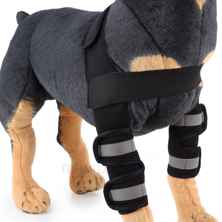 Dog Kneepad Tools Canine Leg Hock Joint Wrap Protection Brace, Size L - Black-4