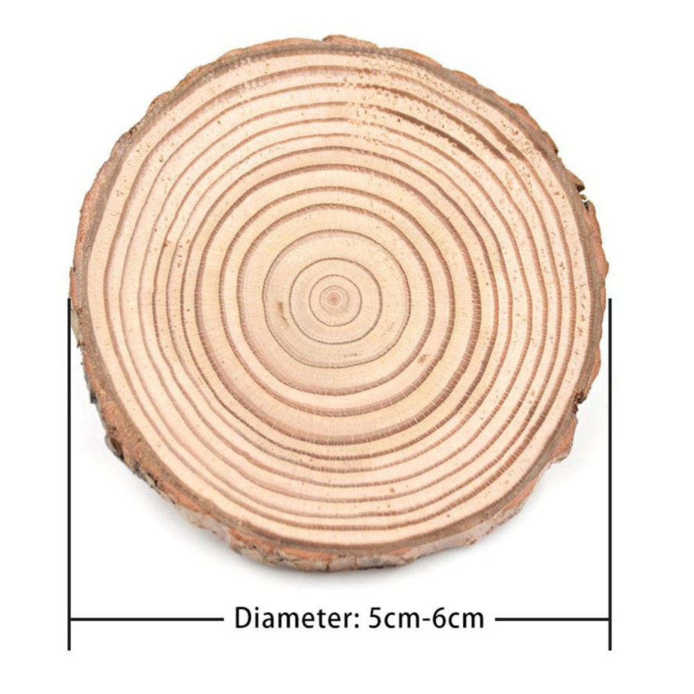 Natural Wooden Log Slice Cup Mat Coaster Pine Tree Tea Coffee Mug Drinks Round Holder Table Decor - 5-6cm-2