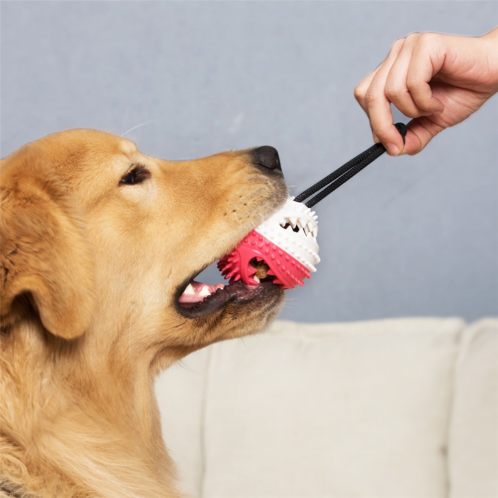 Pet Chew Toy Dog Toy Funny Elasticity Audible Food Ball - Red/White-9