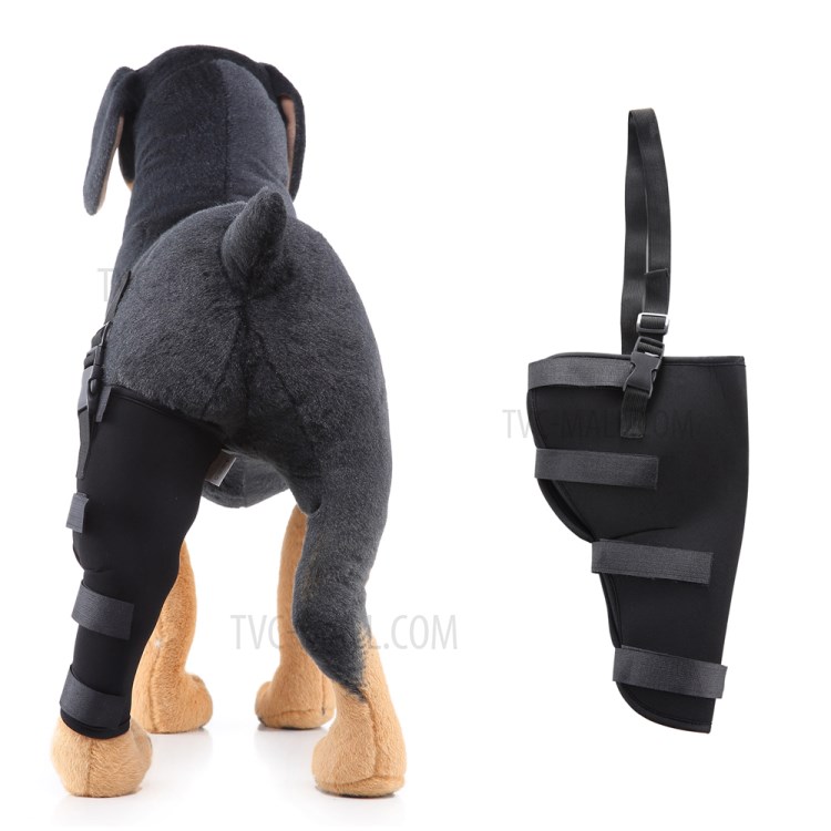 Dog Hock Protector Therapeutic Dog Rear Leg Strap Knee Brace - Black/Left/S-1