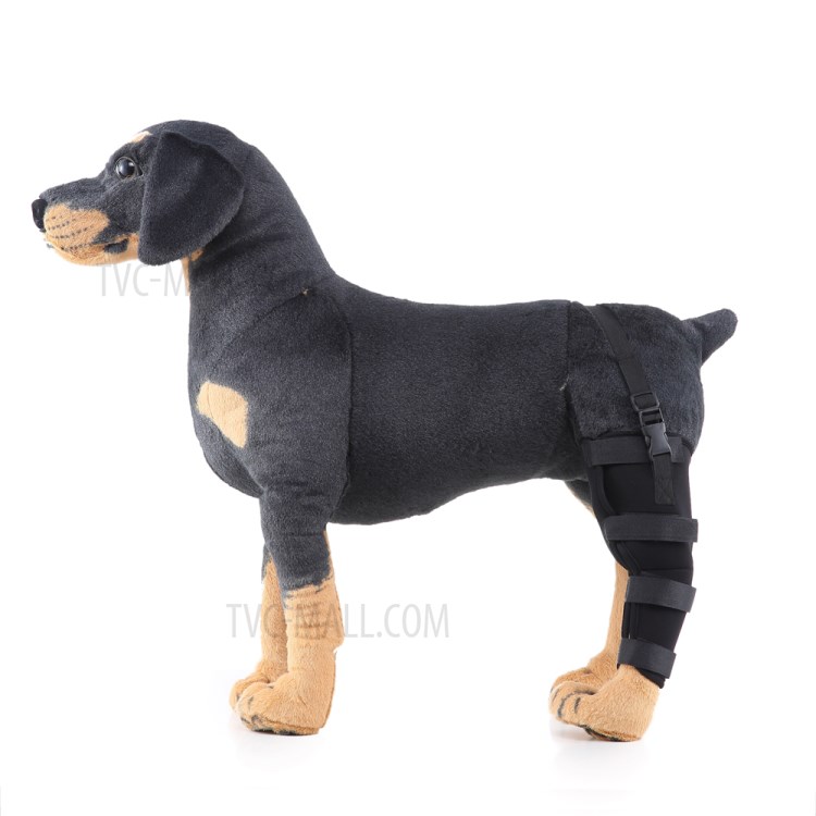 Dog Hock Protector Walking Aid Therapeutic Dog Rear Leg Strap Knee Brace M Size - Black/Left-8